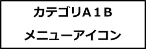 カテゴリA１B画像